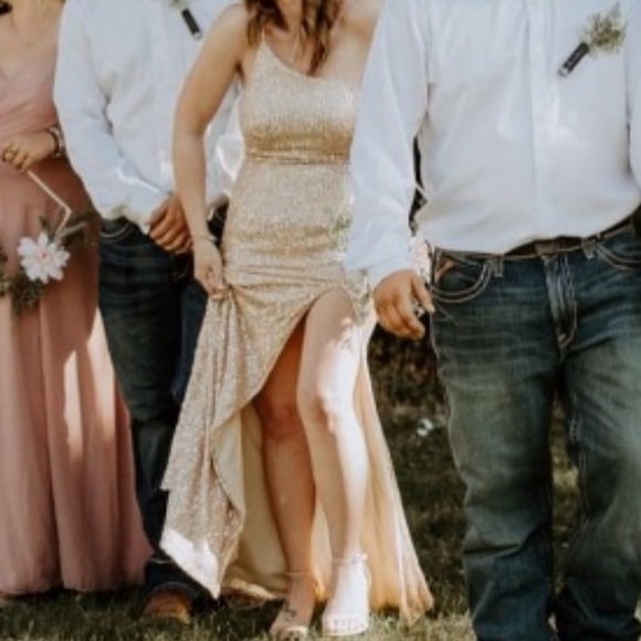 Hello Molly Dear Amelia Rose Gold Dress - Picture 9 of 12